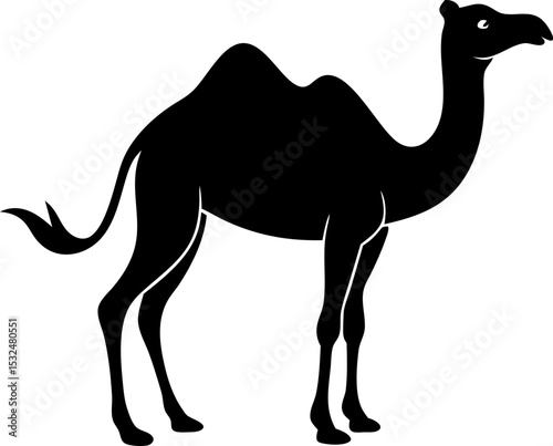 Camel Silhouette Vector Illustration 