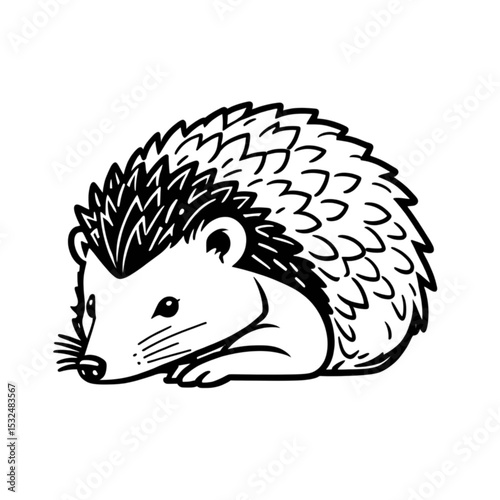 寝転ぶハリネズミ｜Lying Down Hedgehog