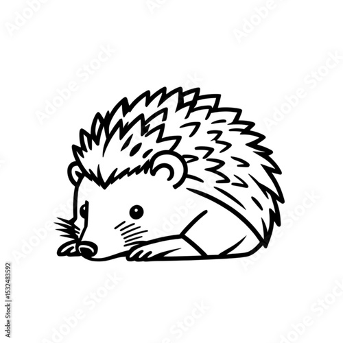 寝転ぶハリネズミ｜Lying Down Hedgehog