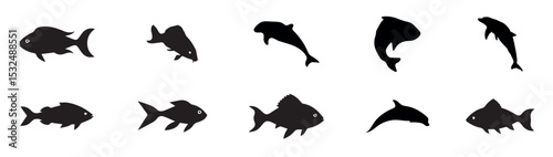  Fish silhouettes black white vector. Fish icon and silhouette, flounder silhouette black white vector illustration.