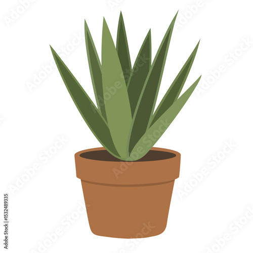 Potted aloe vera plant, a common houseplant with long green leaves, known for its soothing properties and low maintenance, perfect for home decor