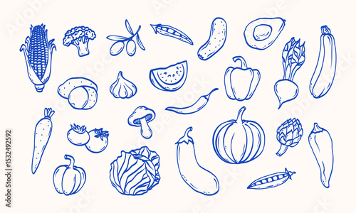 Minimalist hand drawn sketch vegetables vector illustration. Healthy organic food. Tomatoes, olives, avocado, pumpkin, onion, cucumber, beet, potato, corn, pepper, peas. Vector flat illustration.
