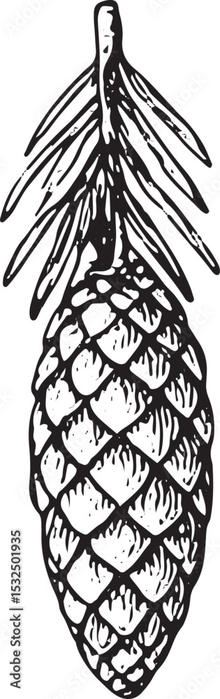 Fototapeta premium An intricately sketched pine cone in black-and-white, showcasing natural texture and organic shape. Perfect for holiday designs, rustic decor, and nature-themed projects, highlighting forest-inspired 