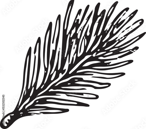 A finely detailed hand-drawn spruce branch with delicate needles, rendered in black-and-white. Ideal for nature-inspired designs, seasonal decor, and woodland crafts, capturing the essence 