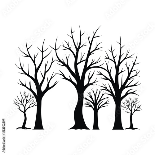 Silhouette of five bare winter trees