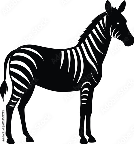 Zebra – black silhouette on white background