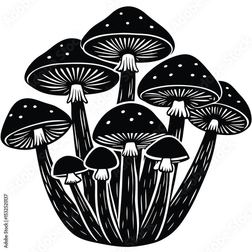 Monochrome Mushroom Cluster Illustration with Spotted Caps and Radial Gills
