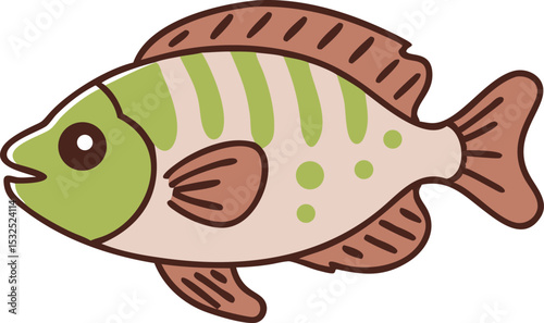 Detailed convict cichlid fish illustration on white background