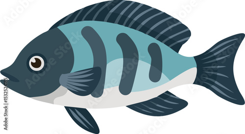 Colorful convict cichlid fish illustration on white background