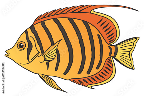 Vibrant flame angelfish illustration on white background