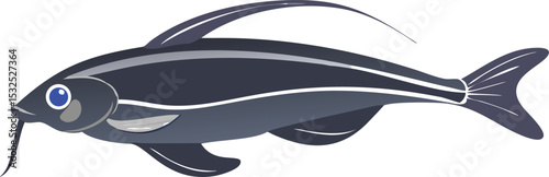 Detailed illustration of a glass catfish on white background