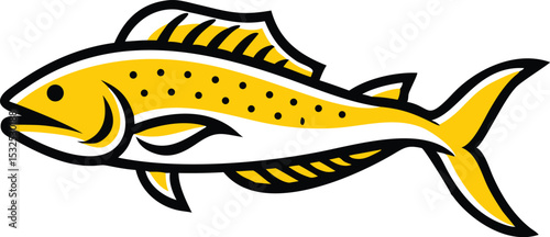 Detailed mahi mahi fish illustration on white background