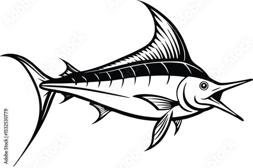 Detailed marlin fish illustration on white background