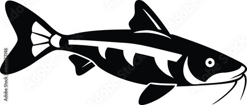 Detailed illustration of otocinclus catfish on white background