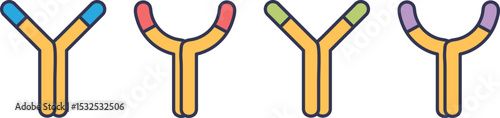 Illustration of receptor proteins with varied colored tips, symbolizing diversity in protein binding.