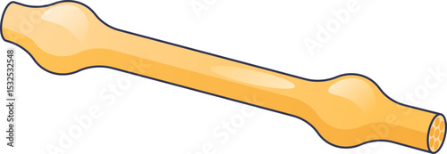 Illustration of an unmyelinated axon, showing its structure without myelin sheath.