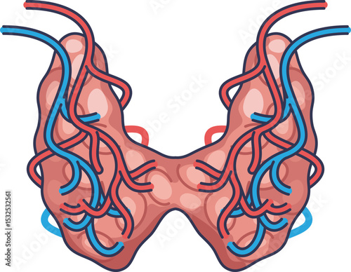 Illustration of a complex blood vessel network, highlighting arteries and veins.