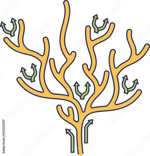 Illustration of dendritic branching with arrows indicating growth directions.