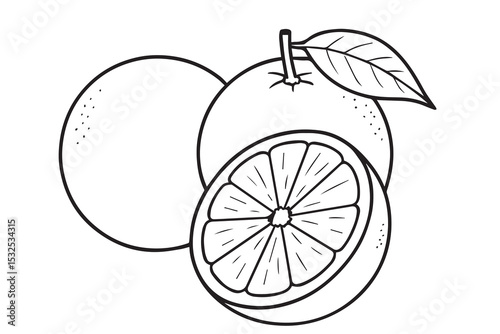 Three oranges are illustrated in black and white, their forms defined by thick black outlines that emphasize simplicity, balance, and organic beauty.

