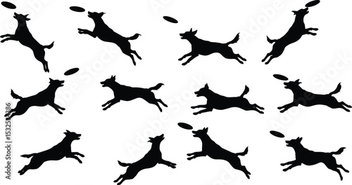 Vector silhouette set of dogs jumping and catching frisbee, active pet dog illustrations, playful canine motion icons for design elements