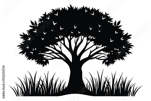 Silhouette of a Large Deciduous Tree with Grass at the Base Landscape