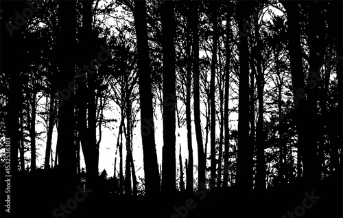 Forest Silhouette 01