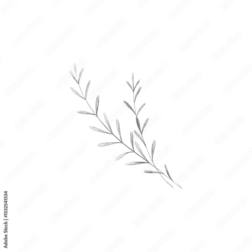 Fototapeta premium drawing minimal botanical graphic sketch drawing tiny tattoo design, floral elements vector illustration 