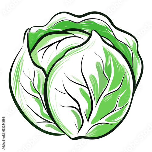 Colorful hand-drawn cabbage icon with visible leaf layers in green and white, symbolizing fresh vegetable or vegan food. grocery print, nutrition blog, eco label concept