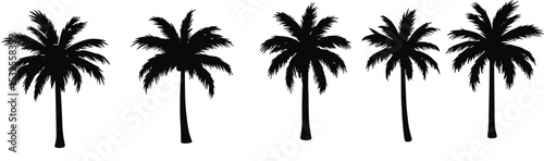 Palm tree silhouette vector illustration, tropical plant icon, summer beach scene, exotic nature design, black isolated coconut tree art
