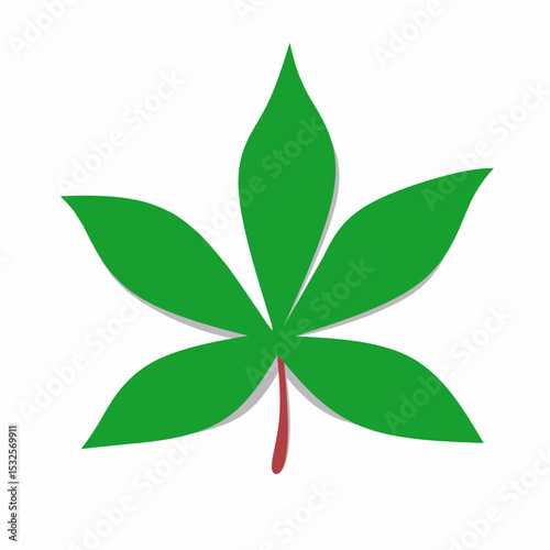 Vector illustration of green cassava leaf with red stalk. Leaf Isolated on white background