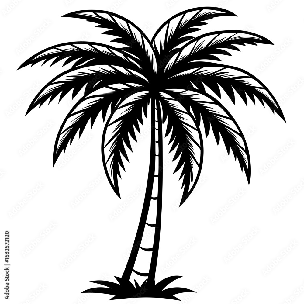 Obraz premium Shadowed Tropics