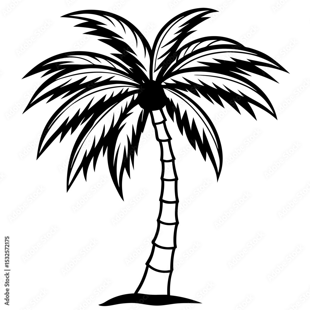 Fototapeta premium Shadowed Tropics