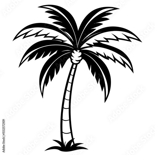 Shadowed Tropics