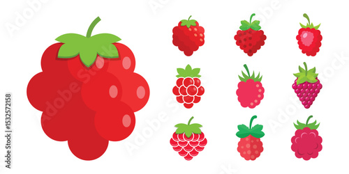 Raspberry fruit icon set collection in flat style. Raspberries berry vector illustration on isolated background. Nature snack sign business concept.