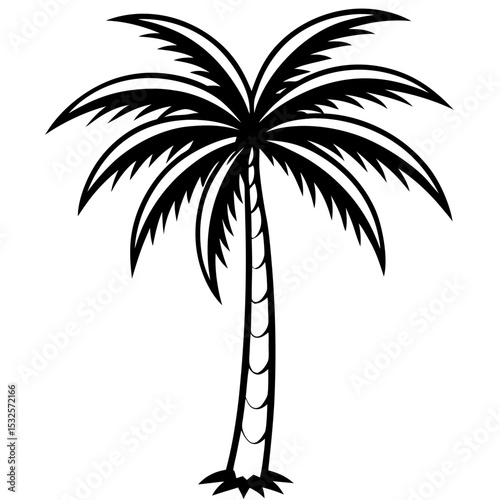 Shadowed Tropics