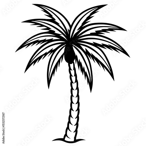 Shadowed Tropics