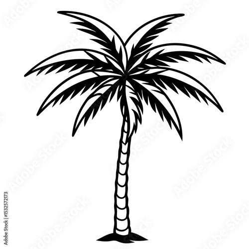 Shadowed Tropics