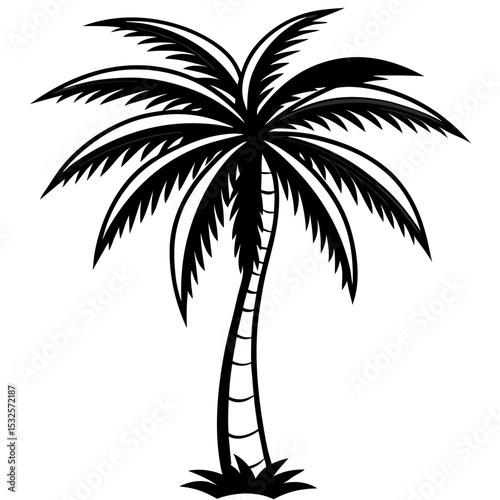 Shadowed Tropics