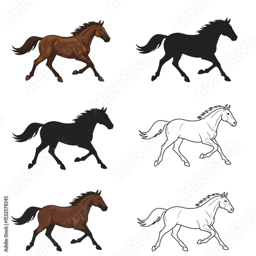 Horse run cycle. Walking trotting and galloping horse. Vector illustration isolated on a white background