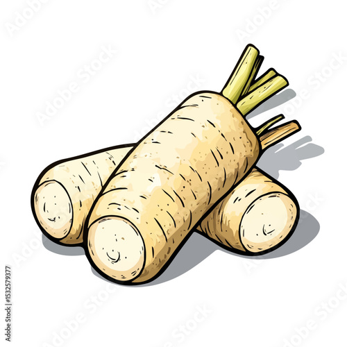 2D flat vector illustration of Horseradish Doodle, isolated on a white background.