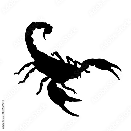 Black scorpion silhouette isolated on white background. Scorpion icon vector illustration design.