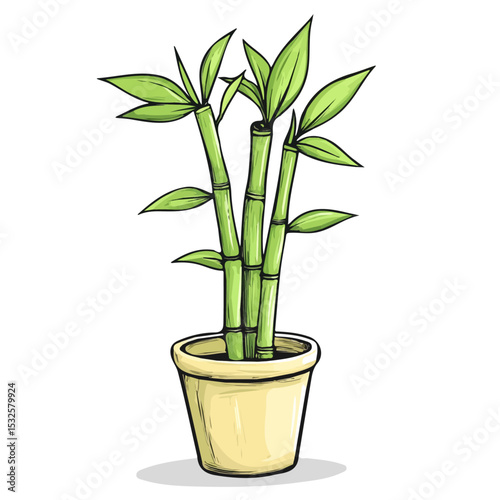 Lucky Bamboo Doodle 2D flat vector illustration, isolated on a white background.
