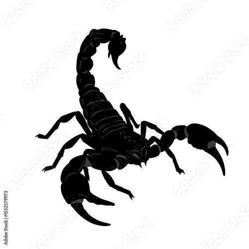 Black scorpion silhouette isolated on white background. Scorpion icon vector illustration design.