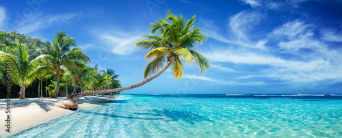 Palm Beach In Tropical Idyllic Paradise Island With Palm Tree On Ocean