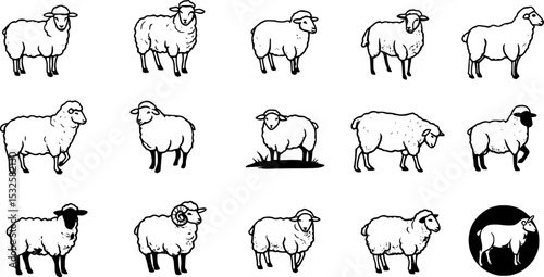 set of Sheep logo icon template. vector png clip art
