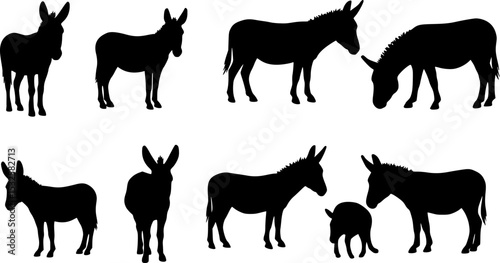 Donkey silhouette on white background. Donkey icon flat vector illustration design.
