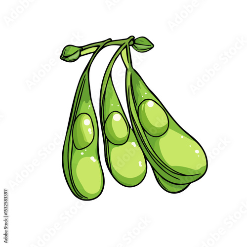 Peas Doodle 2D flat vector illustration, isolated on a white background.