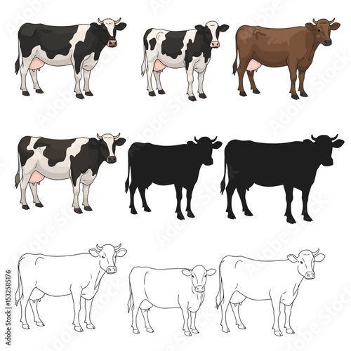 Set of cows of different breeds. Holstein Friesian, Limousin, Simmental, Brown Swiss dairy cattle. Farm animals. Vector Illustration isolated on a white background in a realistic style