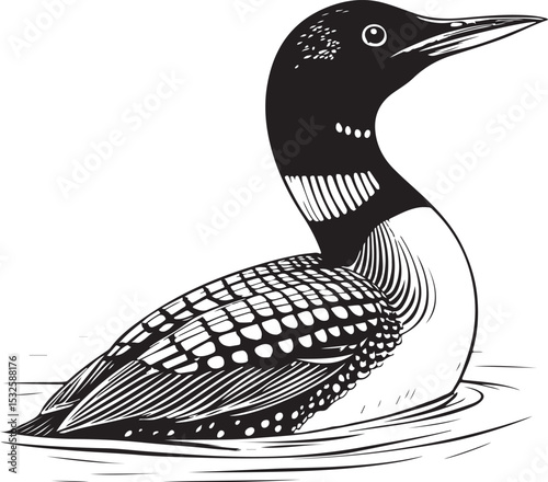 Common Loon Bird Vector Illustration, Sketch Drawing Line Linear Symbol Icon Engraving Coloring Book, Hand-drawn Black and White Isolated