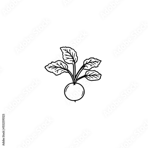 radish icon vector symbolizing organic produce